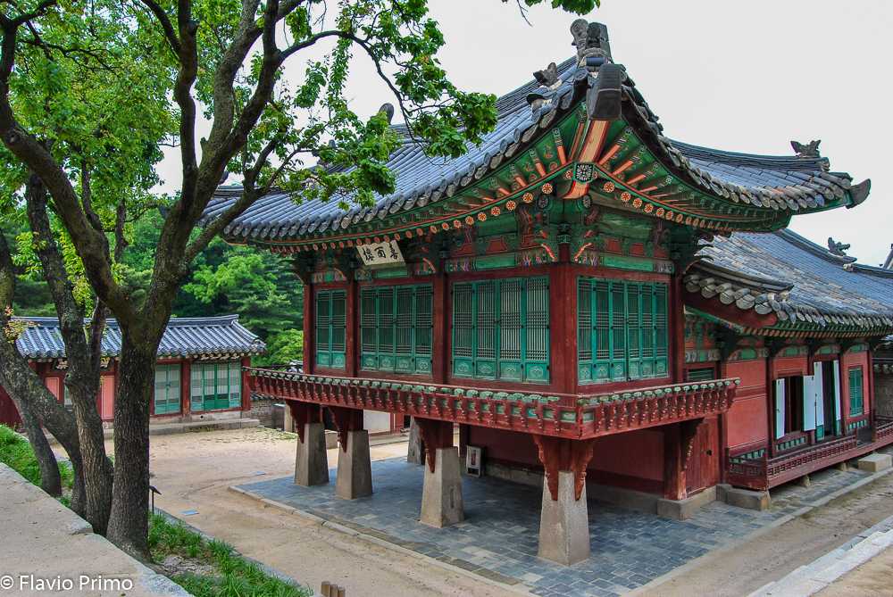 photo in the gallery