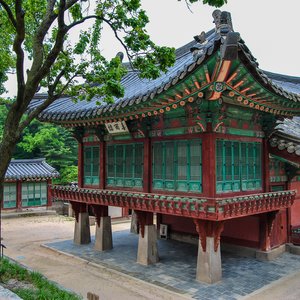 big size photo in the gallery