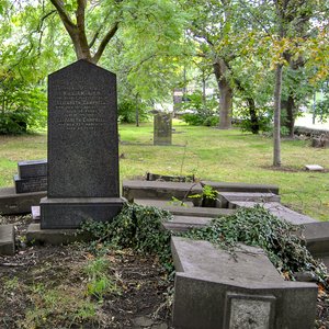 big size photo in the gallery