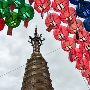 big size photo in the gallery