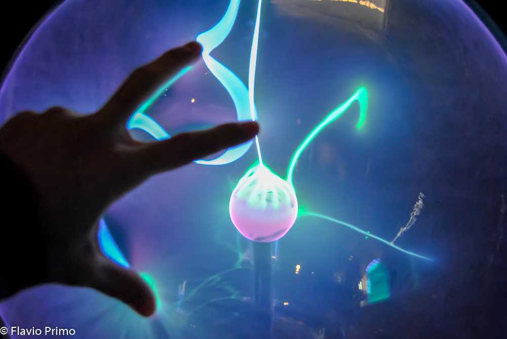 photo in the gallery