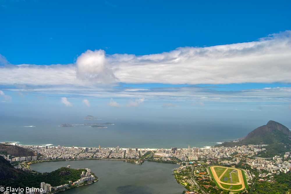 photo in the gallery