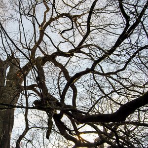 big size photo in the gallery