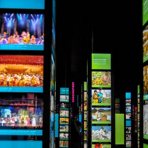 big size photo in the gallery