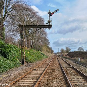 big size photo in the gallery