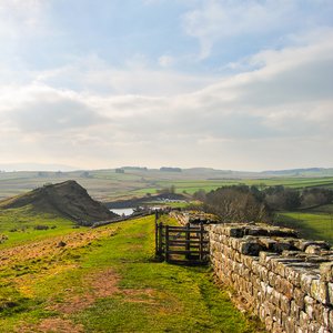 big size photo in the gallery