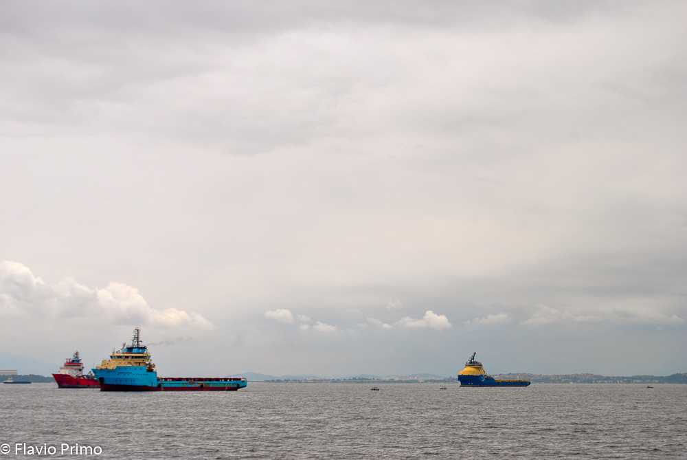 photo in the gallery