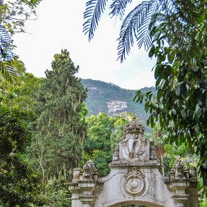 big size photo in the gallery