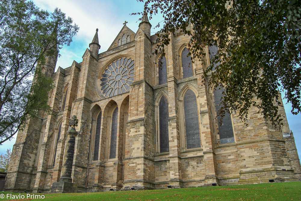 photo in the gallery