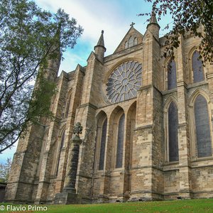 big size photo in the gallery