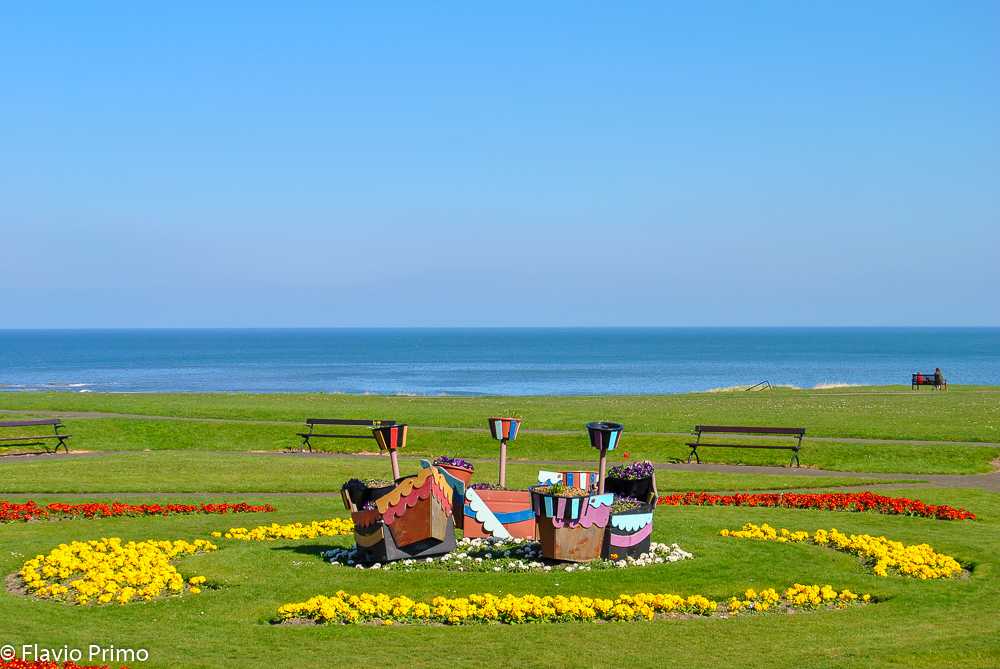 photo in the gallery