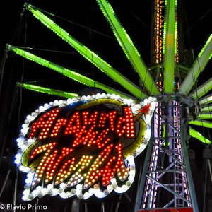 big size photo in the gallery