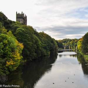 big size photo in the gallery