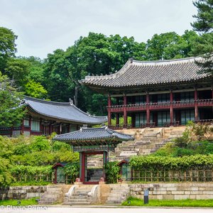 big size photo in the gallery