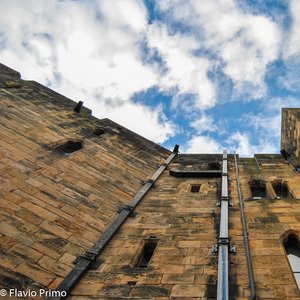 big size photo in the gallery