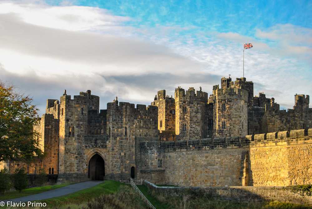 photo in the gallery