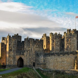 big size photo in the gallery