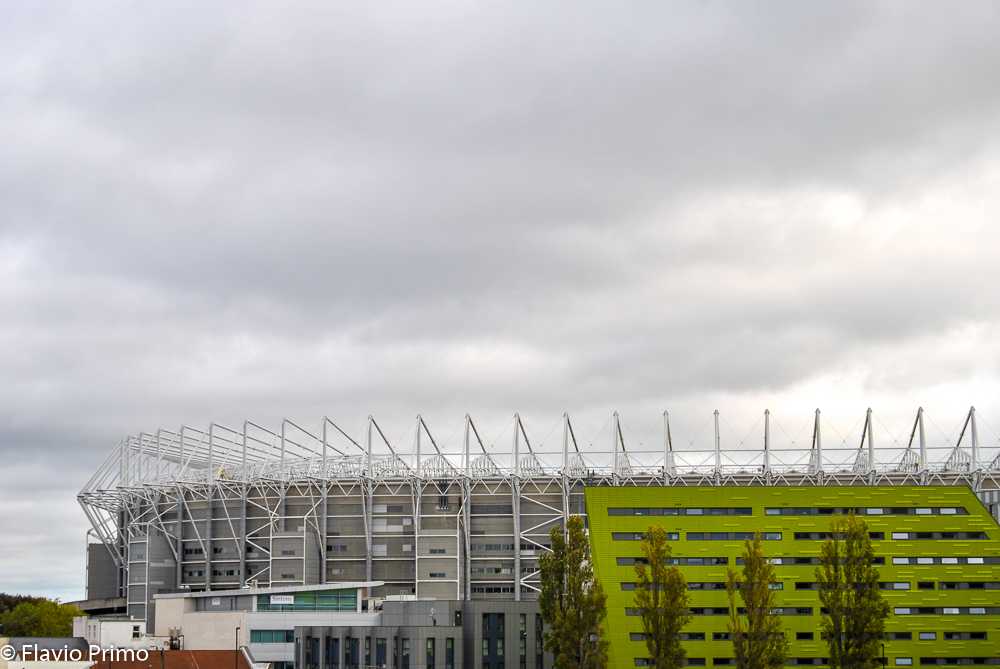 photo in the gallery