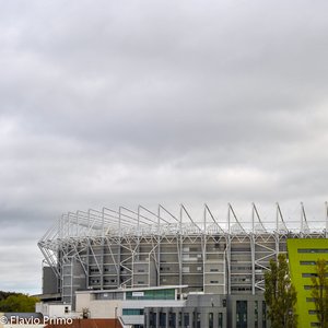 big size photo in the gallery