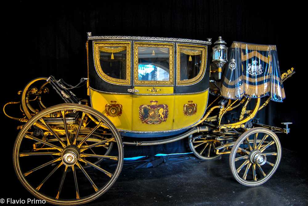 photo in the gallery