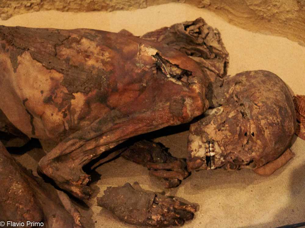 photo in the gallery