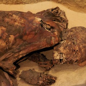 big size photo in the gallery