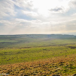 big size photo in the gallery