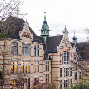 big size photo in the gallery