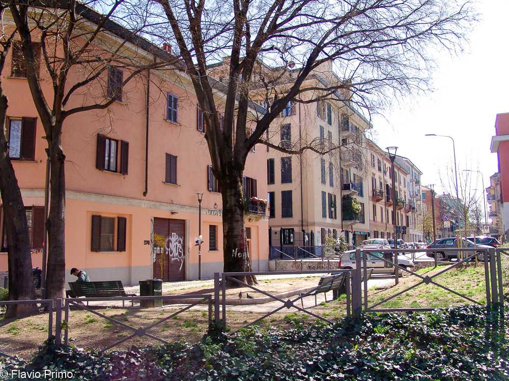 photo in the gallery