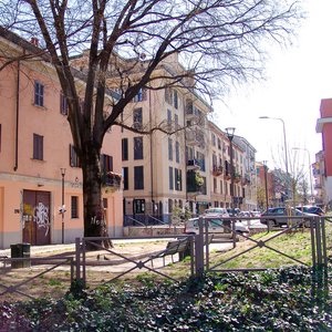 big size photo in the gallery