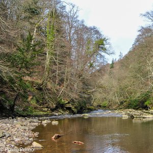 big size photo in the gallery