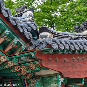 big size photo in the gallery