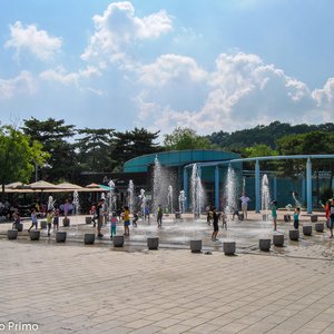 big size photo in the gallery