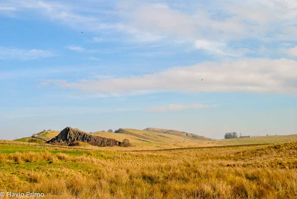 photo in the gallery