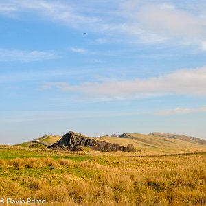 big size photo in the gallery