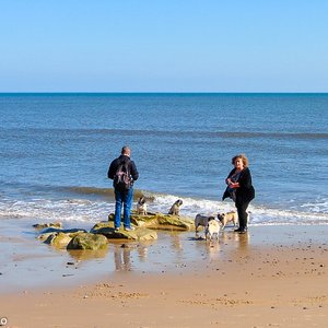 big size photo in the gallery