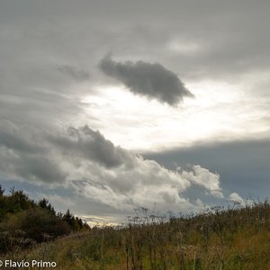 big size photo in the gallery