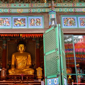 big size photo in the gallery