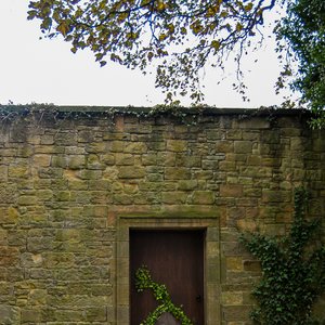 big size photo in the gallery