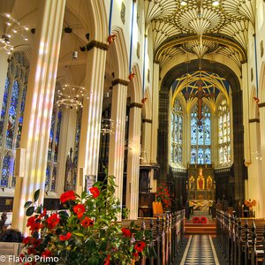 big size photo in the gallery