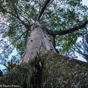 big size photo in the gallery