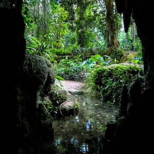 big size photo in the gallery