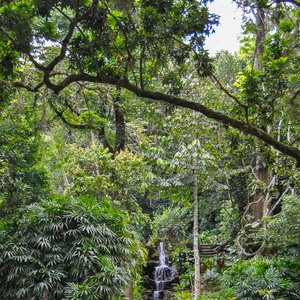 big size photo in the gallery