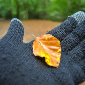 big size photo in the gallery