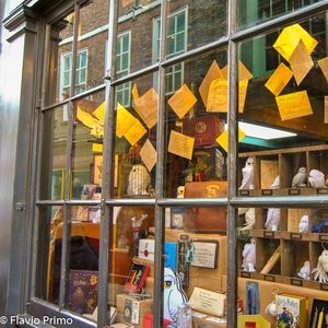 big size photo in the gallery