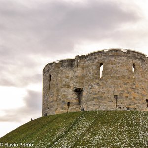 big size photo in the gallery