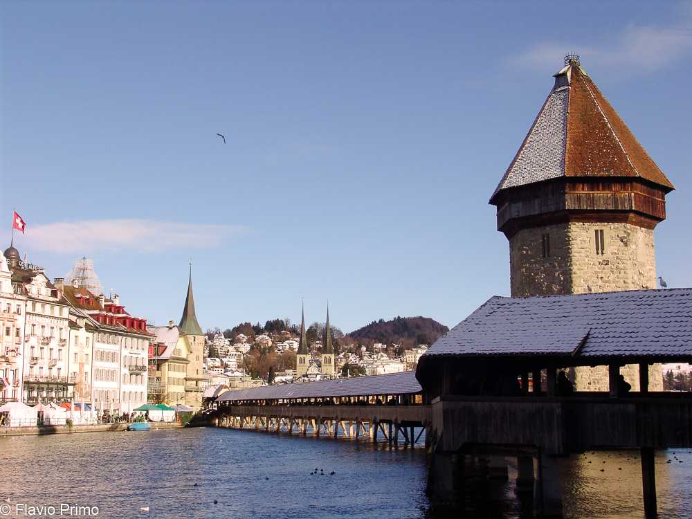 photo in the gallery