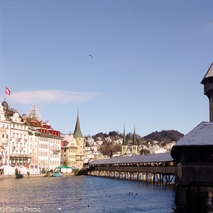 big size photo in the gallery