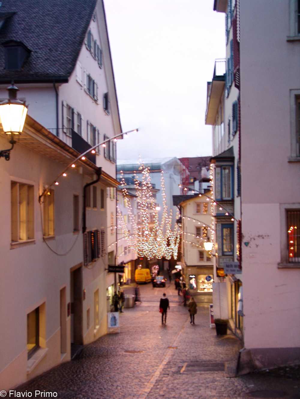 photo in the gallery