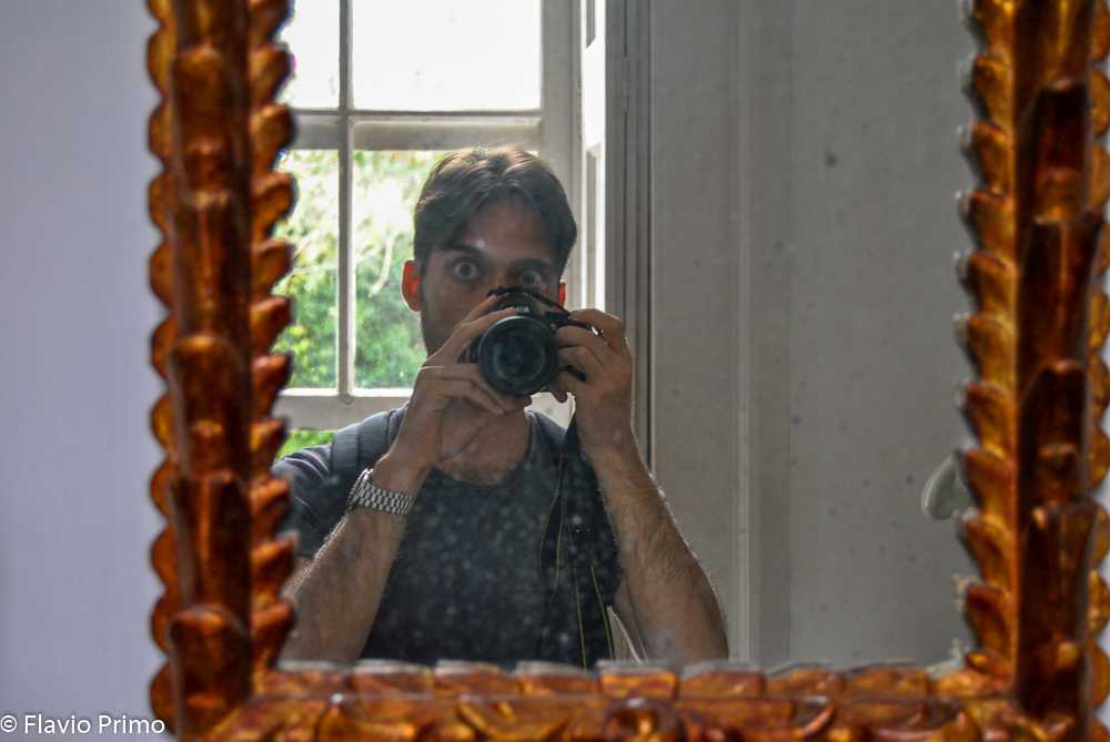 photo in the gallery